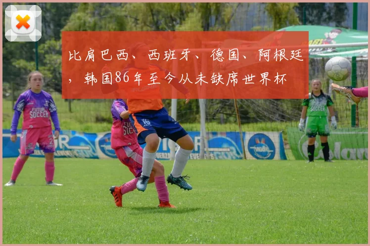 比肩巴西、西班牙、德国、阿根廷，韩国86年至今从未缺席世界杯